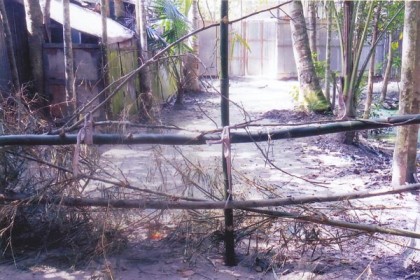 বখাটে ছেলের বিরুদ্ধে মামলা করে গ্রামছাড়া 
