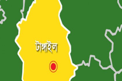 মির্জাপুরে ট্রাকচাপায় পথচারী নিহত, আহত ৩

