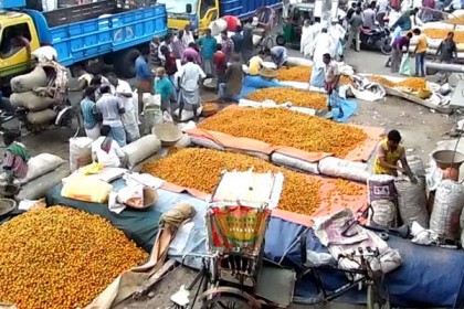 সুপারি চাষে লাভবান চাষিরা
