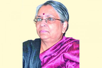 'রামপাল বিদ্যুৎকেন্দ্রের বিজ্ঞাপন মিথ্যা তথ্যের ওপর নির্মিত'