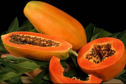 যে কারণে নিয়মিত পেঁপে খাবেন