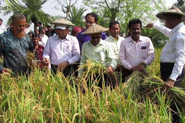 ঝিনাইদহে নবান্ন উৎসব ও কৃষি দিবস পালিত 