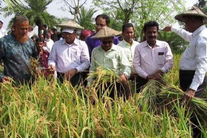 ঝিনাইদহে নবান্ন উৎসব ও কৃষি দিবস পালিত 