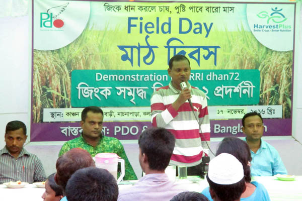 কলাপাড়ায় কৃষকদের মাঠ দিবস অনুষ্ঠিত