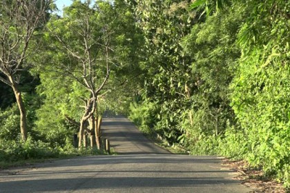 প্রাকৃতিক সৌন্দর্যের হাতছানি আসামবস্তি সড়ক

