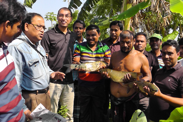 বাগেরহাটে উন্মুক্ত জলাশয়ে মাসব্যাপী মাছ আহরণ শুরু

              