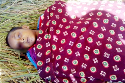 টাঙ্গাইলে ধানক্ষেত থেকে শিশুর লাশ উদ্ধার
