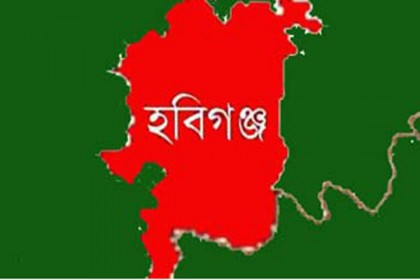 অপহরণ করতে ব্যর্থ হয়ে সন্তানদের কুপিয়ে জখম!
