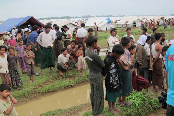 টেকনাফ সীমান্তে ১১৬ রোহিঙ্গা আটক
