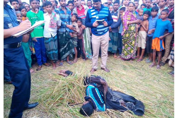 শৈলকুপায় ধান ক্ষেত থেকে ইজিবাইক চালকের লাশ উদ্ধার