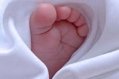 মাগুরায় কুকুরের মুখ থেকে নবজাতকের মরদেহ উদ্ধার