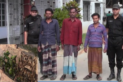 ফেনীতে বিলুপ্তপ্রায় দেড় হাজার পাখিসহ আটক ৩ 