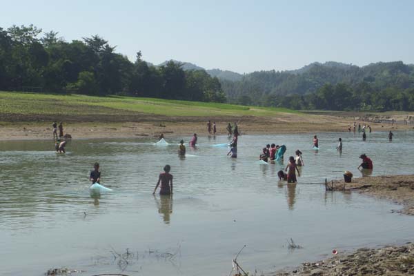 নদীতে বিষ প্রয়োগে মাছ নিধন

