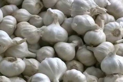 ২০০ টাকা ছাড়াল রসুনের দাম!