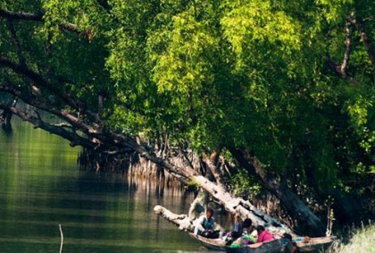 সুন্দরবনে মধু আহরণকালে আটক ২
