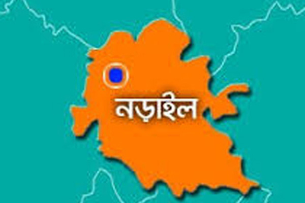 পুলিশি অভিযানে ৪৯ আসামি গ্রেফতার 
