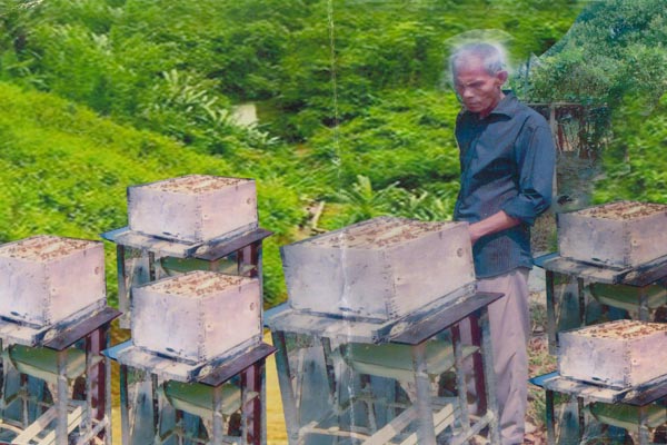 সফল মৌচাষি খাগড়াছড়ির বাথাং মারমা 