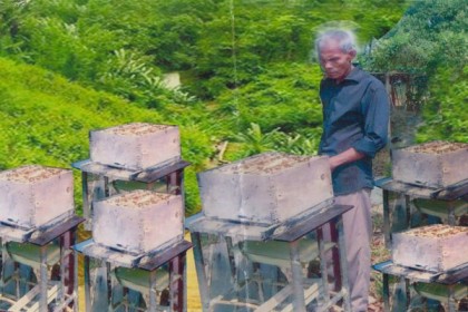 সফল মৌচাষি খাগড়াছড়ির বাথাং মারমা 