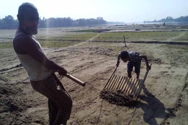 নদীর চরে পেঁয়াজ চাষে ভূমিহীন কৃষকের ভাগ্যবদল