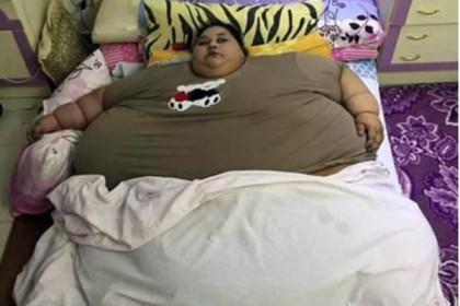 ৫০০ কেজির এমানকে ভারতে আনা হবে কীভাবে?‌