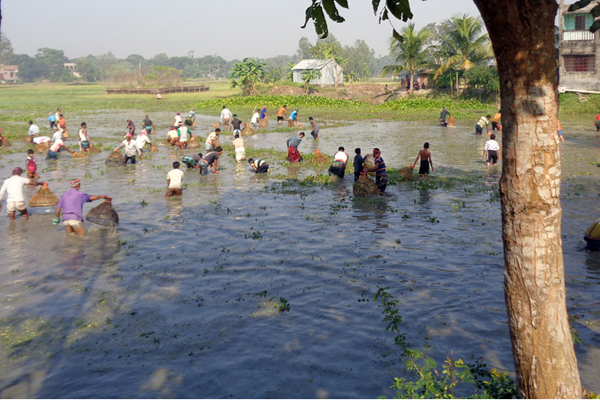 মানিকগঞ্জে পলো নিয়ে মাছ ধরার প্রতিযোগিতা
