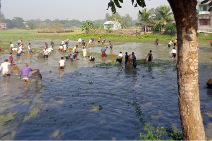 মানিকগঞ্জে পলো নিয়ে মাছ ধরার প্রতিযোগিতা