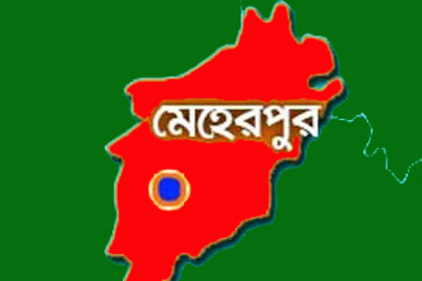 ১১২ পিস ভারতীয় শাড়িসহ আটক ২