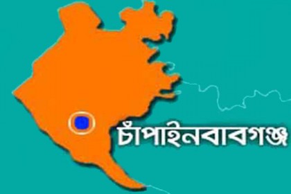 বড় ভাইকে মারধরের সংবাদে ছোট ভাইয়ের মৃত্যু