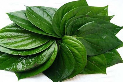 পান খাওয়ার ৫ উপকারিতা