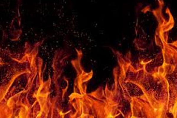 গাজীপুরে তুলার কারখানায় আগুন

