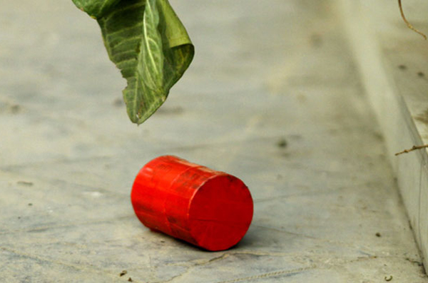 চুয়াডাঙ্গায় ডাকাতদের ছোড়া বোমায় কৃষক নিহত