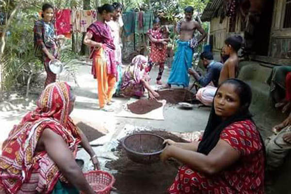 দিনাজপুরে কেঁচো সারে ভাগ্যবদল
