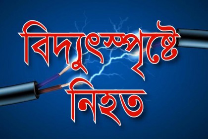 বগুড়ায় বিদ্যুৎস্পৃষ্টে ২ জনের মৃত্যু
