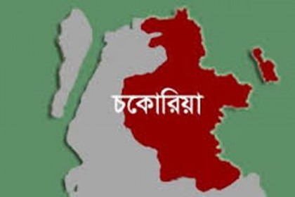 সড়ক দুর্ঘটনায় ব্যবসায়ী নিহত
