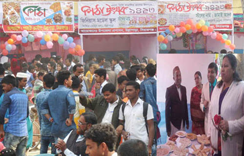 উল্লাপাড়ায় পিঠা উৎসব