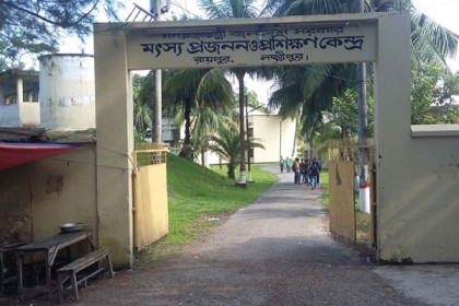জনবল সংকটে রায়পুরের মৎস প্রজনন ও প্রশিক্ষন কেন্দ্র

