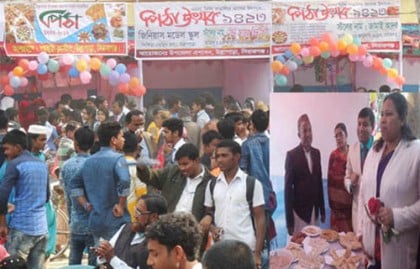 উল্লাপাড়ায় পিঠা উৎসব