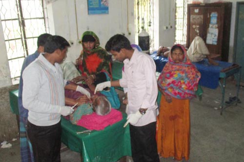 
বাগেরহাটে কুকুরের কামড়ে শিশুসহ ৫০ পথচারী আহত
