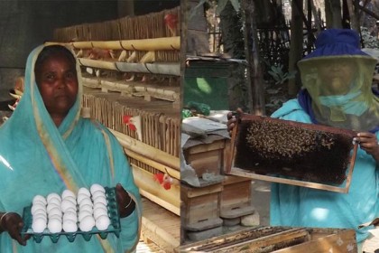 জীবন সংগ্রামে সফল নারী কৃষক লুৎফা খাতুন 
