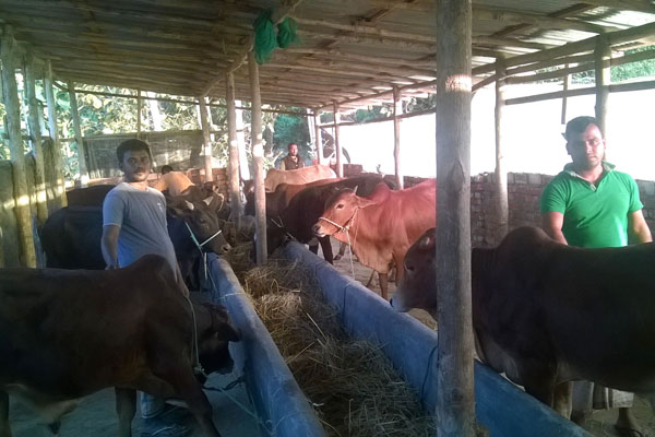লামায় সফল চার উদ্যোক্তার ভাগ্য বদলের গল্প