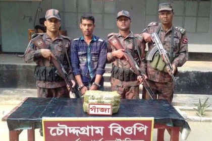 চৌদ্দগ্রামে মাদক ব্যবসায়ীর ৬ মাসের কারাদণ্ড