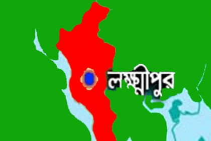 রায়পুরে পিকআপের ধাক্কায় সিএনজি চালক নিহত

