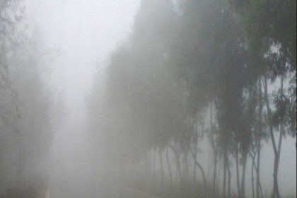 কুয়াশার চাদরে মোড়ানো রাজশাহী