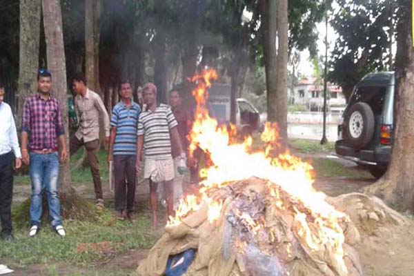 লক্ষ্মীপুরে কারেন্ট জালসহ সাড়ে ৬ মণ জাটকা জব্দ 
