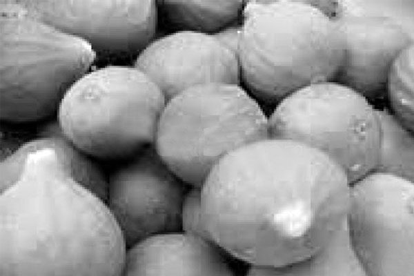 বেহেশতি ফল ডুমুর