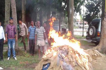 লক্ষ্মীপুরে কারেন্ট জালসহ সাড়ে ৬ মণ জাটকা জব্দ 