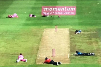 ক্রিকেটারদের তাড়িয়ে মাঠের দখল নিল মৌমাছি!