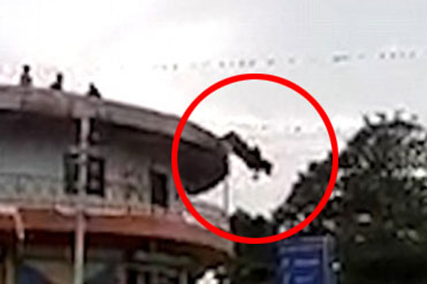 প্রাপ্ত বয়স্ক ষাঁড়ের আত্মহত্যা!