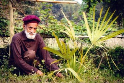 'সাদা মনের' উমরা মিয়া
