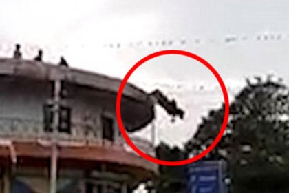 প্রাপ্ত বয়স্ক ষাঁড়ের আত্মহত্যা!